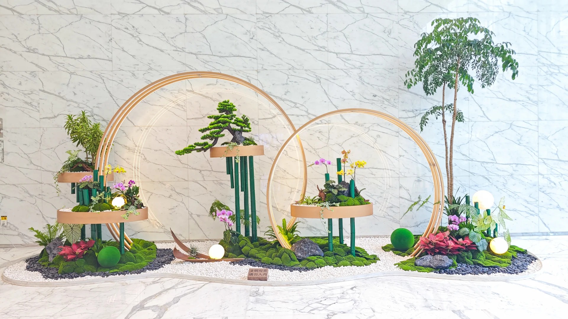 专业花木出租，领略宁波北仑的自然之美